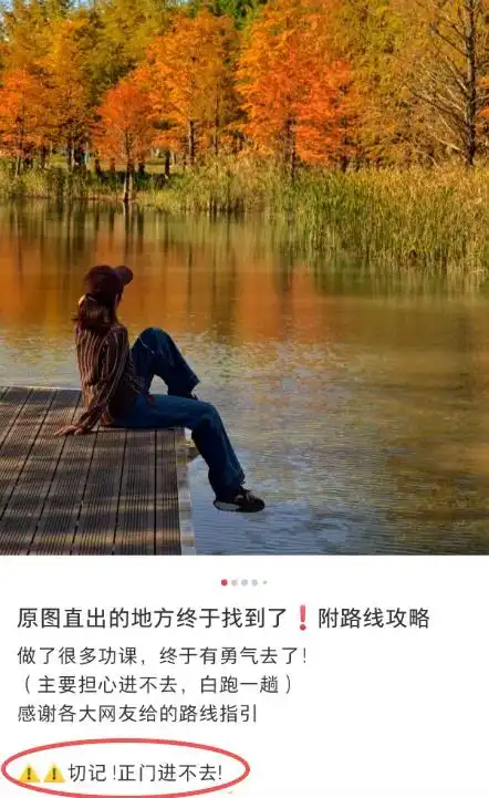 图片[4]-上海有个超美的新公园，未开先火！有人偷偷爬进去、溜进去、翻进去……太危险！-三林塘