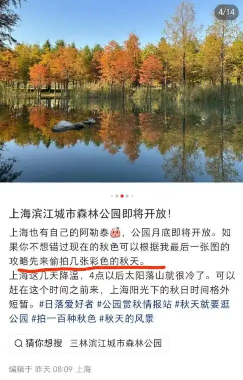 图片[5]-上海有个超美的新公园，未开先火！有人偷偷爬进去、溜进去、翻进去……太危险！-三林塘