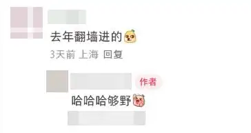 图片[9]-上海有个超美的新公园，未开先火！有人偷偷爬进去、溜进去、翻进去……太危险！-三林塘