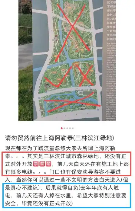图片[12]-上海有个超美的新公园，未开先火！有人偷偷爬进去、溜进去、翻进去……太危险！-三林塘