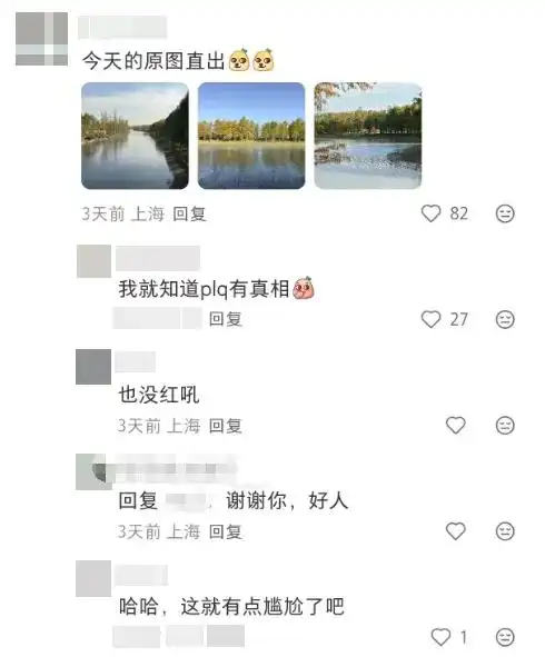 图片[13]-上海有个超美的新公园，未开先火！有人偷偷爬进去、溜进去、翻进去……太危险！-三林塘