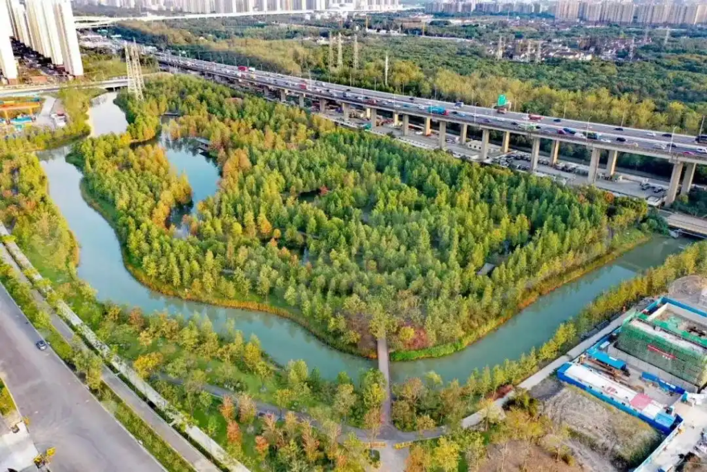 图片[16]-上海有个超美的新公园，未开先火！有人偷偷爬进去、溜进去、翻进去……太危险！-三林塘