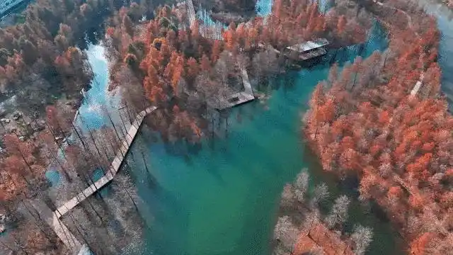 图片[17]-上海有个超美的新公园，未开先火！有人偷偷爬进去、溜进去、翻进去……太危险！-三林塘