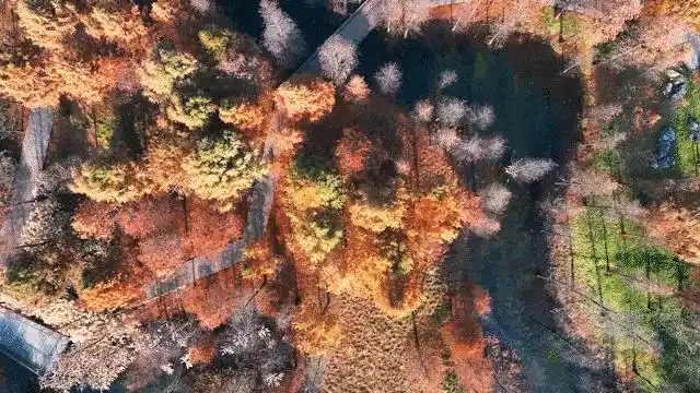 图片[18]-上海有个超美的新公园，未开先火！有人偷偷爬进去、溜进去、翻进去……太危险！-三林塘