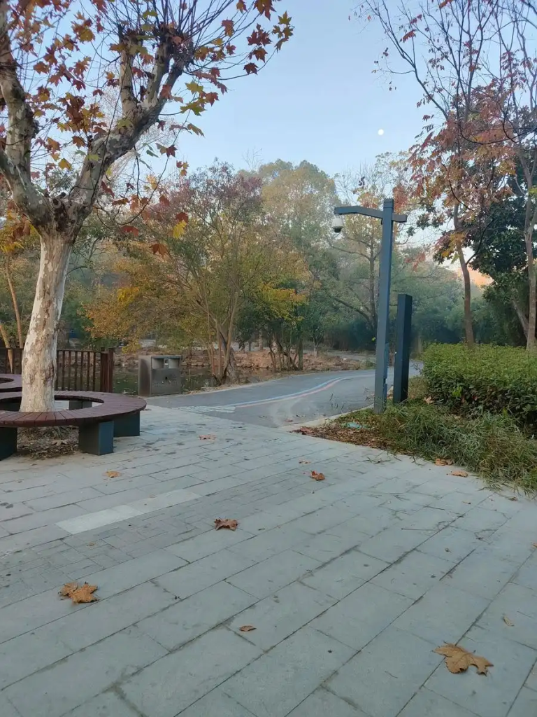 图片[2]-白天风光步道 晚上“黑暗地带”，市民期盼三林外环绿道尽快照亮夜行路-三林塘