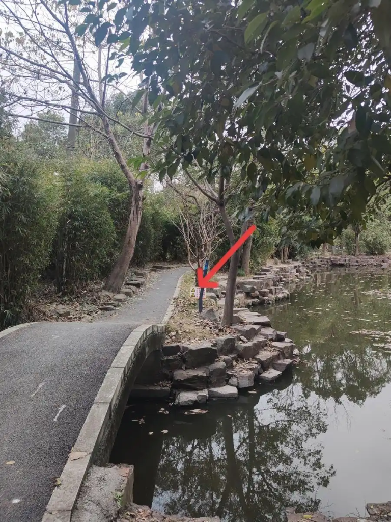 图片[3]-白天风光步道 晚上“黑暗地带”，市民期盼三林外环绿道尽快照亮夜行路-三林塘