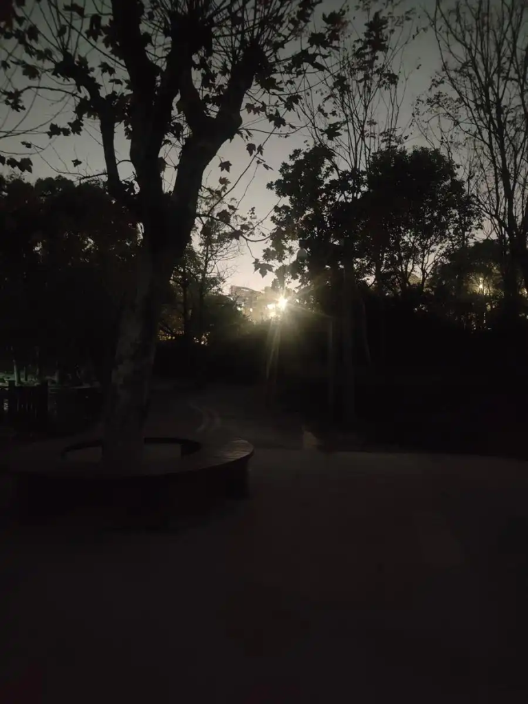 图片[4]-白天风光步道 晚上“黑暗地带”，市民期盼三林外环绿道尽快照亮夜行路-三林塘