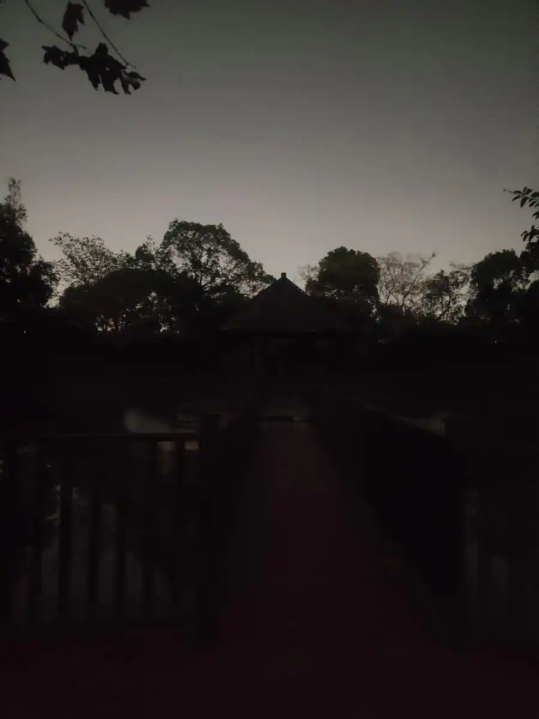 图片[5]-白天风光步道 晚上“黑暗地带”，市民期盼三林外环绿道尽快照亮夜行路-三林塘