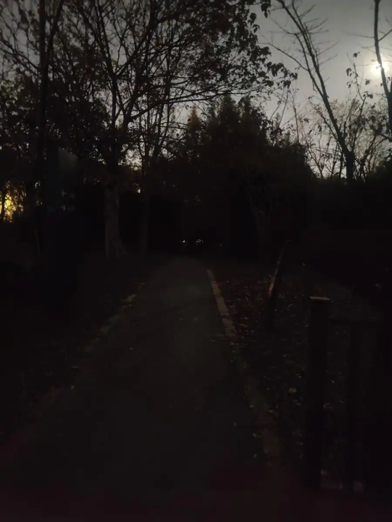 图片[6]-白天风光步道 晚上“黑暗地带”，市民期盼三林外环绿道尽快照亮夜行路-三林塘