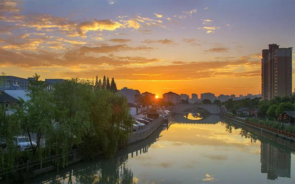 图片[8]-三林老街项目（集土）多地块启动，1号块当天清盘-三林塘