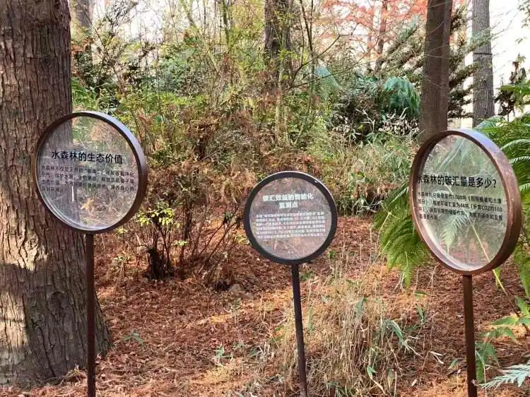 图片[3]-上海公园总数达到1100座！三林滨江城市森林“水森林”已基本建成，计划今年春天开放-三林塘