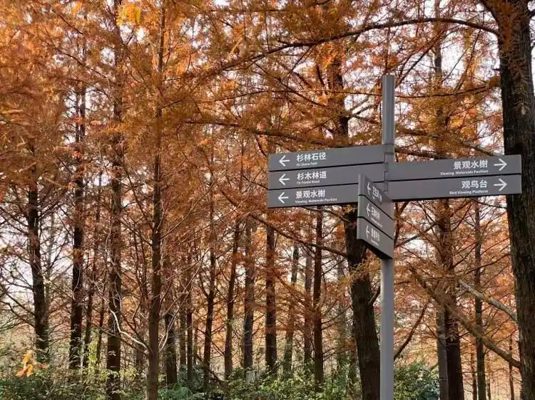 图片[4]-上海公园总数达到1100座！三林滨江城市森林“水森林”已基本建成，计划今年春天开放-三林塘