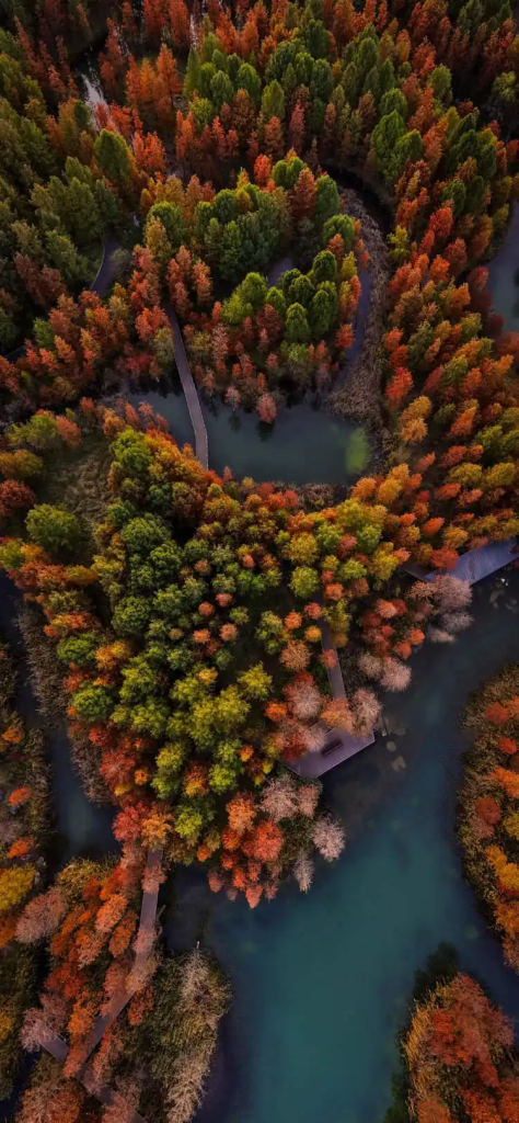 图片[6]-上海公园总数达到1100座！三林滨江城市森林“水森林”已基本建成，计划今年春天开放-三林塘