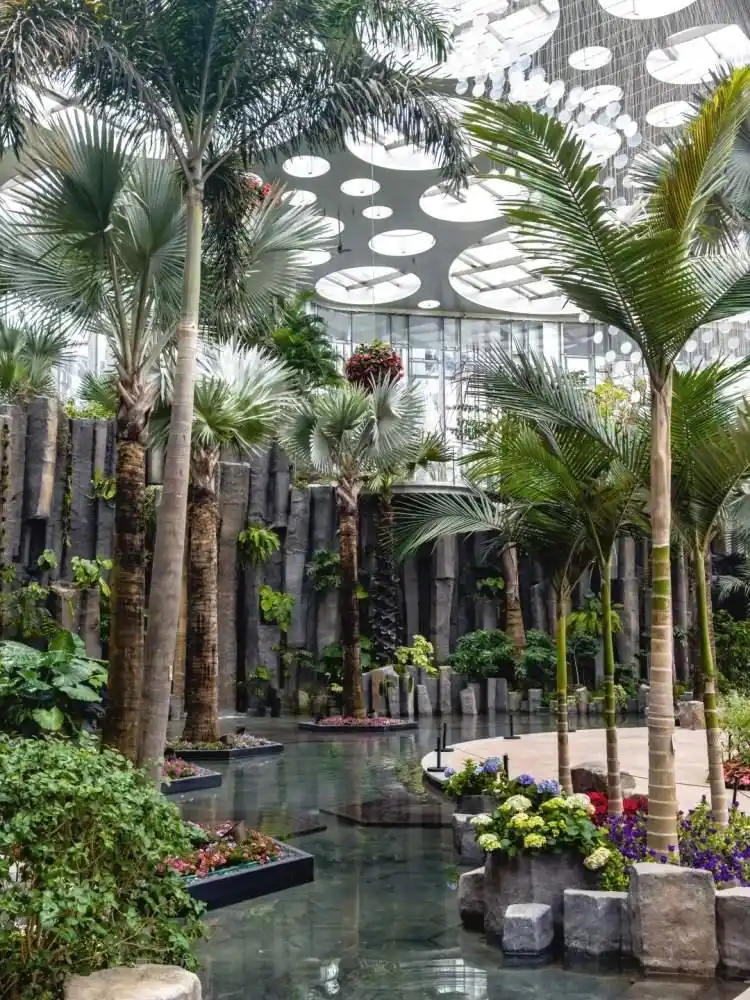 图片[7]-上海公园总数达到1100座！三林滨江城市森林“水森林”已基本建成，计划今年春天开放-三林塘