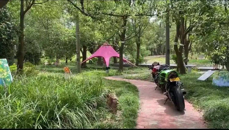 图片[8]-上海公园总数达到1100座！三林滨江城市森林“水森林”已基本建成，计划今年春天开放-三林塘