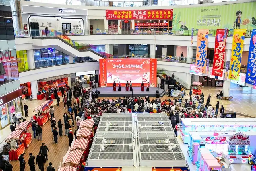 图片[9]-元宵就该热热闹闹地过！三林老街民俗仪式进商圈-三林塘