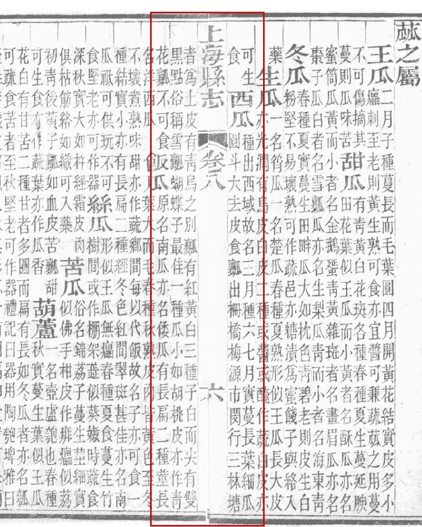 图片[11]-为什么说三林塘是上海最重要的古镇之一-三林塘