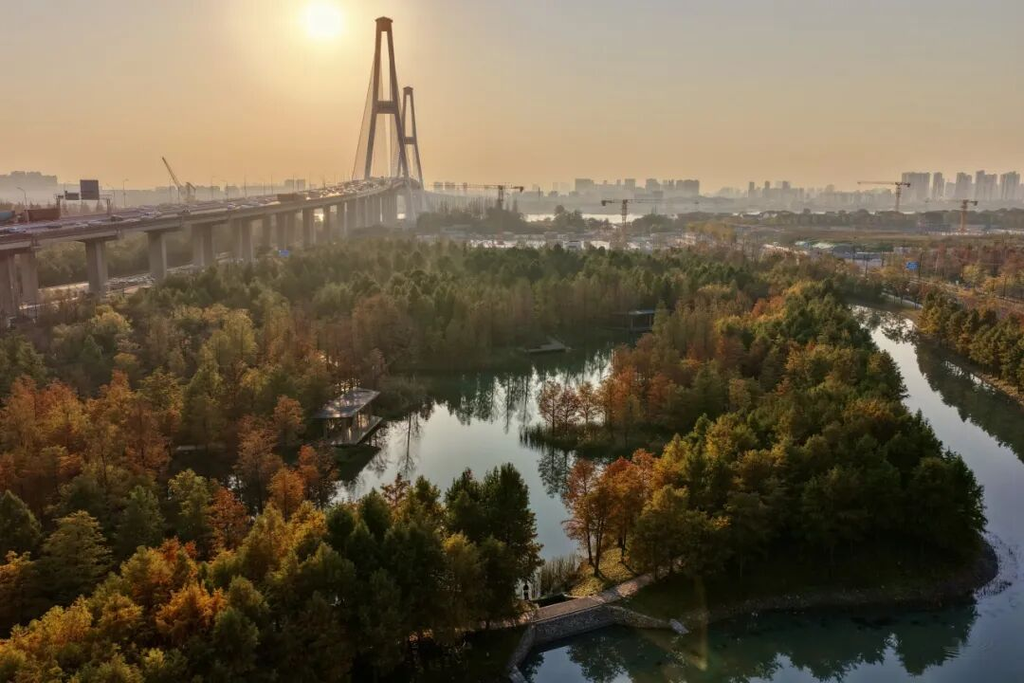 图片[4]-漫步前滩滨江，感受绿意浦东！-三林塘